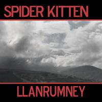 Spider Kitten : Llanrumney